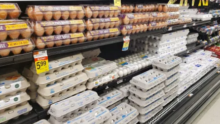 ¡Alerta de Seguridad! Retiro de Huevos en Costco por Riesgo de Salmonella: Lo Que Debes Saber 2