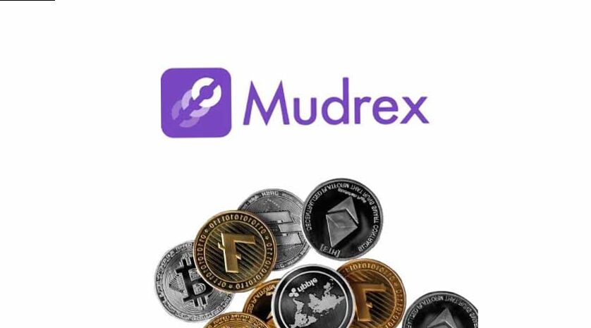 Mudrex Detiene Temporalmente los Retiros de Criptomonedas para Mejorar la Seguridad: Todo lo que Necesitas Saber 2